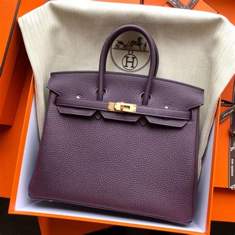 Hermes Birkin 25 Raisin Togo Gold Hardware